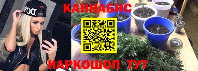 сатива Аргун